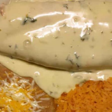 Seasoned Chicken Chimichanga